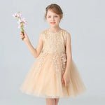 Load image into Gallery viewer, Lace Flower Girl Dress - Sleeveless Princess Dresses
