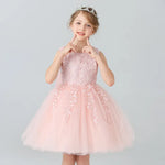 Load image into Gallery viewer, Lace Flower Girl Dress - Sleeveless Princess Dresses

