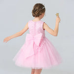 Load image into Gallery viewer, Lace Flower Girl Dress - Sleeveless Princess Dresses
