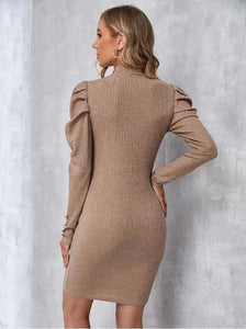 Knitted High Collar Maternity Dress with Long Sleeve