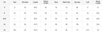 Load image into Gallery viewer, Measurement chart for clothing sizes with various dimensions listed.
