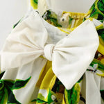 Load image into Gallery viewer, New Summer Baby Girl Dress with a Big Bow
